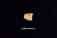 陶片藏品圖，第2張